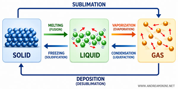 the difference between solids, liquids, and gases
