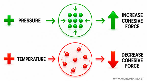phase transitions