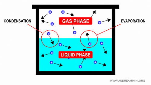 the liquid phase and the vapor phase