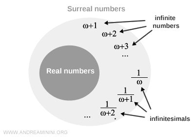 the set of surreal numbers