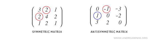 The differences between symmetric and antisymmetric matrices