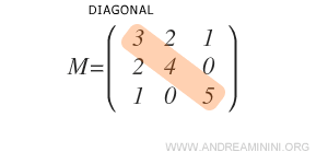 The diagonal of the matrix
