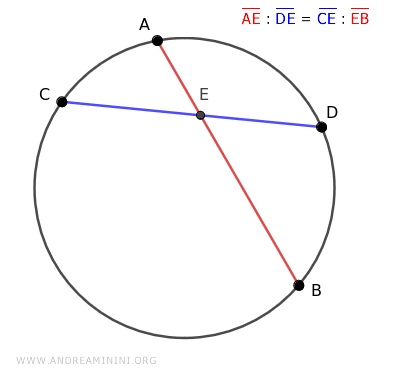 the beta angles are congruent