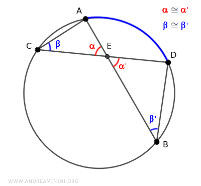 the beta angles are congruent