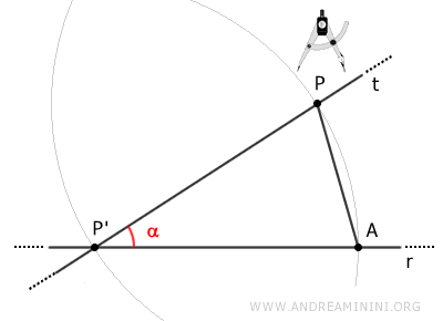 segment AP