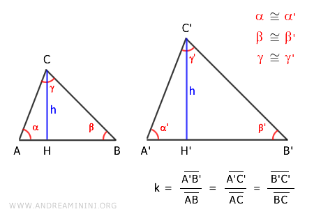 the heights of the triangles