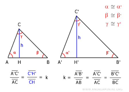 the heights of the triangles