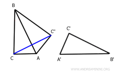 segment CC''