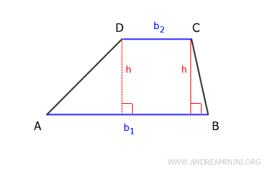 the trapezoid