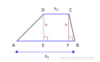 the trapezoid