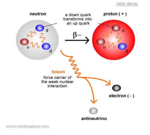 example of weak nuclear interaction