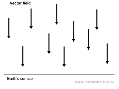 example of a constant vector field