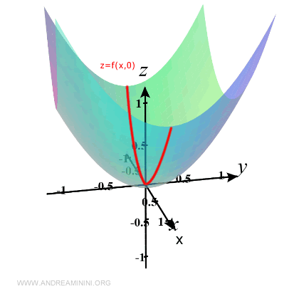 section of the surface when y = 0