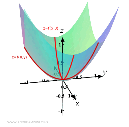 section of the surface when x = 0