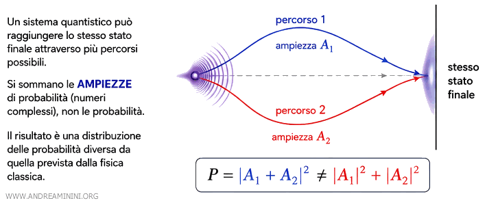 probability amplitudes and interference term