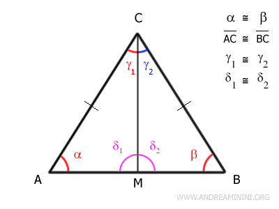 bisector CM as the median of the isosceles triangle