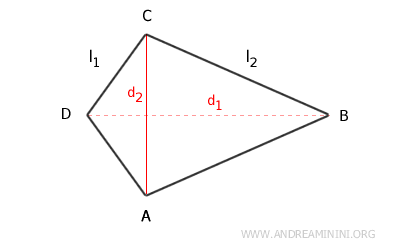 the kite