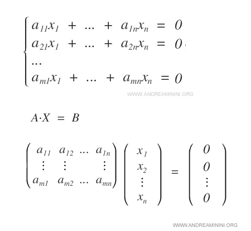 a homogeneous linear system written in matrix form